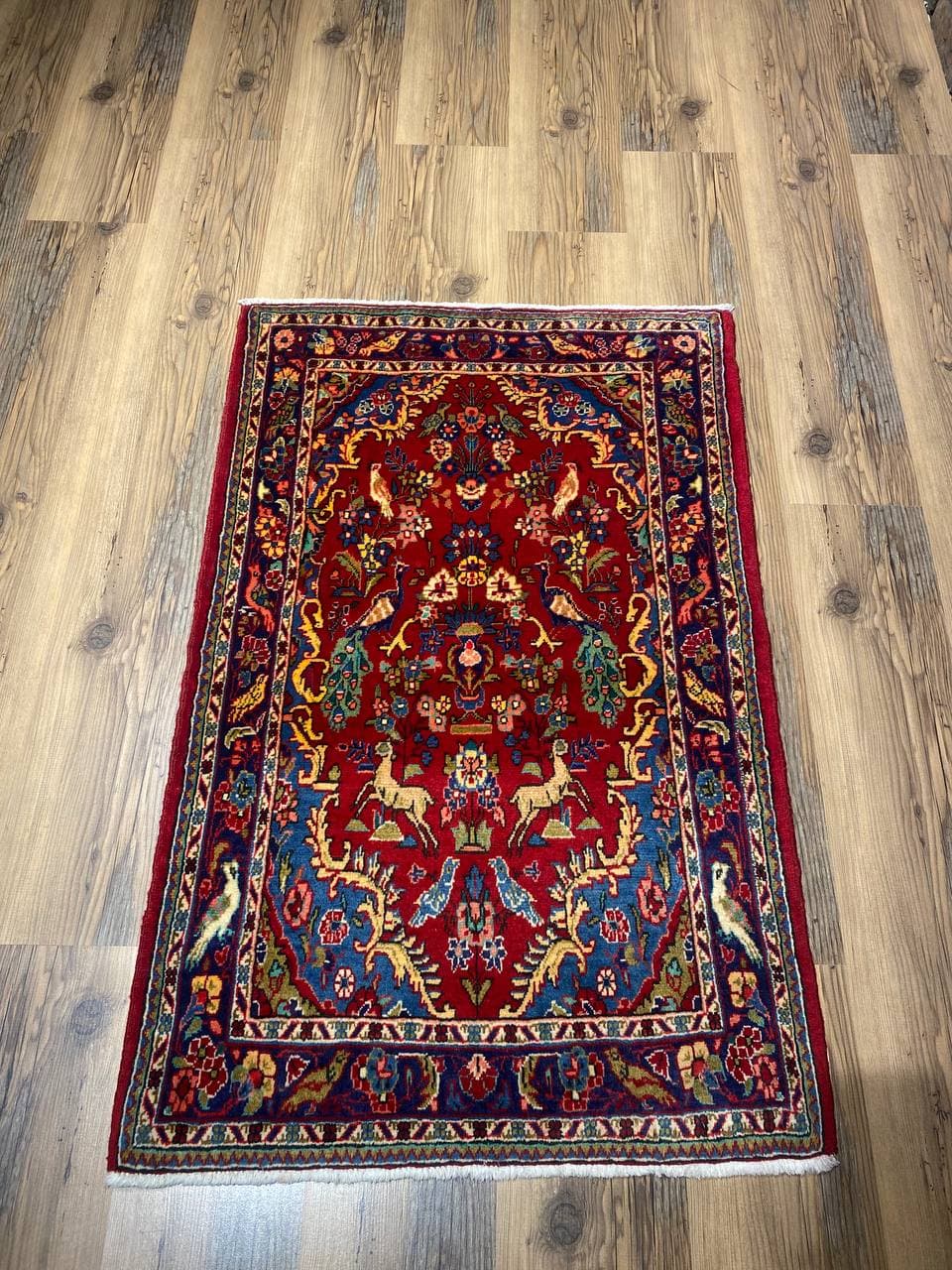 photo_2021-08-20_00-18-59